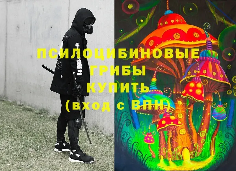 наркошоп  Подольск  omg tor  Галлюциногенные грибы Psilocybine cubensis 